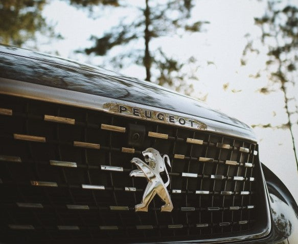 PEUGEOT(FRANCE)